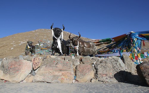 米拉山口_by 香香.jpg