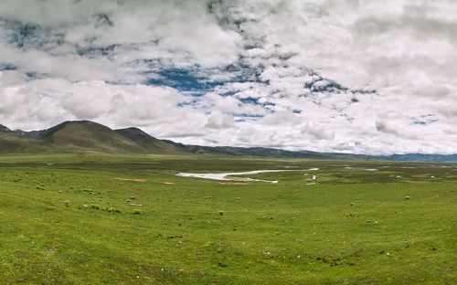 毛垭大草原_by 喀融.jpg