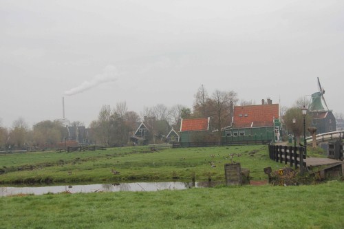 IMG_0141.jpg