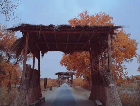 罗布人村寨 (2).jpg
