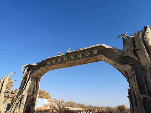 微信图片_20191113152416.jpg